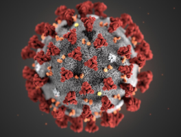 Coronavirus Preparedness